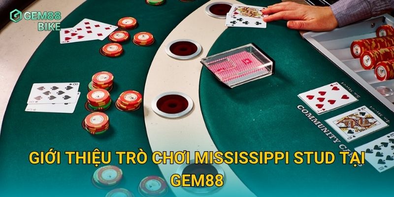 Mississippi Stud Gem88 – Trò Chơi Poker Hấp Dẫn Với Tỷ Lệ Thưởng Cao 2 Giới thiệu trò chơi Mississippi Stud tại Gem88