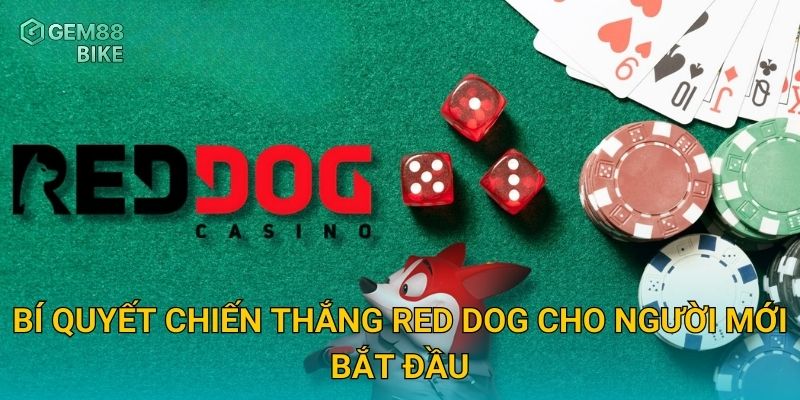 Bí quyết chiến thắng Red Dog cho người mới bắt đầu